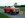 orange_chevy_truck.jpg