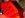 DSC00033.JPG