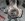 knuckle-holes.jpg