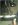 60384796037_3300_1.jpg