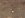 31605 004.jpg