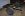 DCP_2822bbtruck.jpg