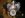 front2.jpg