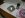DSCN0681.JPG