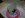 DSCN0685.JPG