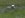 muddin6.jpg