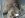 shock mount 001.jpg