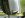CIMG1184 (Small).JPG