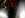 IMG01019-20110724-1145.jpg