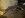 IMG01020-20110724-1548.jpg