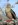 red-footed-booby_678_600x450.jpg