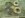 pop in slugs.jpg