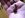 ImageUploadedByTapatalk1313988126.151352.jpg