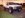 SD531343.JPG
