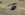 Snapshot - 1s.jpg