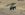 Snapshot - 2s.jpg