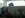 dogs in the k5.jpg