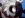 Pinion.jpg