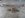 DSC00317.JPG