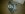 2011-11-11_20-54-55_897.jpg