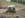 Elbe%203-26%20003.jpg