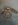 ImageUploadedByTapatalk1323285703.121897.jpg
