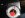 ImageUploadedByTapatalk1323487508.870437.jpg
