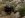ImageUploadedByTapatalk1321124191.862590.jpg