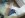 ImageUploadedByTapatalk1324365452.910282.jpg