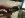 IMG00182-20120110-2002.jpg