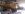 IMAG0346.jpg