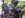 DSCN3643.JPG