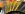 D60 Gear Pattern Check 2.jpg