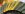 D60 Gear Pattern Check 2 Coast Side.jpg