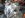 Doubler 2.png