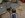 shrunk 3.JPG
