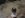 shrunk 4.JPG
