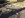 ImageUploadedByTapatalk1331819425.287834.jpg