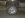 ImageUploadedByTapatalk1331938056.356730.jpg