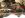 DSCN0511.JPG