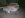 DSCN0581.jpg