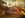 010.jpg