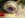 ImageUploadedByTapatalk1334119661.390749.jpg