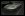 stingray.jpg