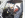 front roll cage 4.png