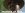 5e8ace0f_9d4f984c_mother-of-god-super-troopers.jpg