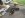 ImageUploadedByTapatalk1336080886.108552.jpg ImageUploadedByTapatalk1336080886.108552.jpg