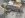 ImageUploadedByTapatalk1336080925.910413.jpg ImageUploadedByTapatalk1336080925.910413.jpg