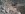 576325_10150820165811031_534786030_11890715_519524709_n.jpg