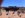 485778_10150819712766031_534786030_11888820_1716197398_n.jpg